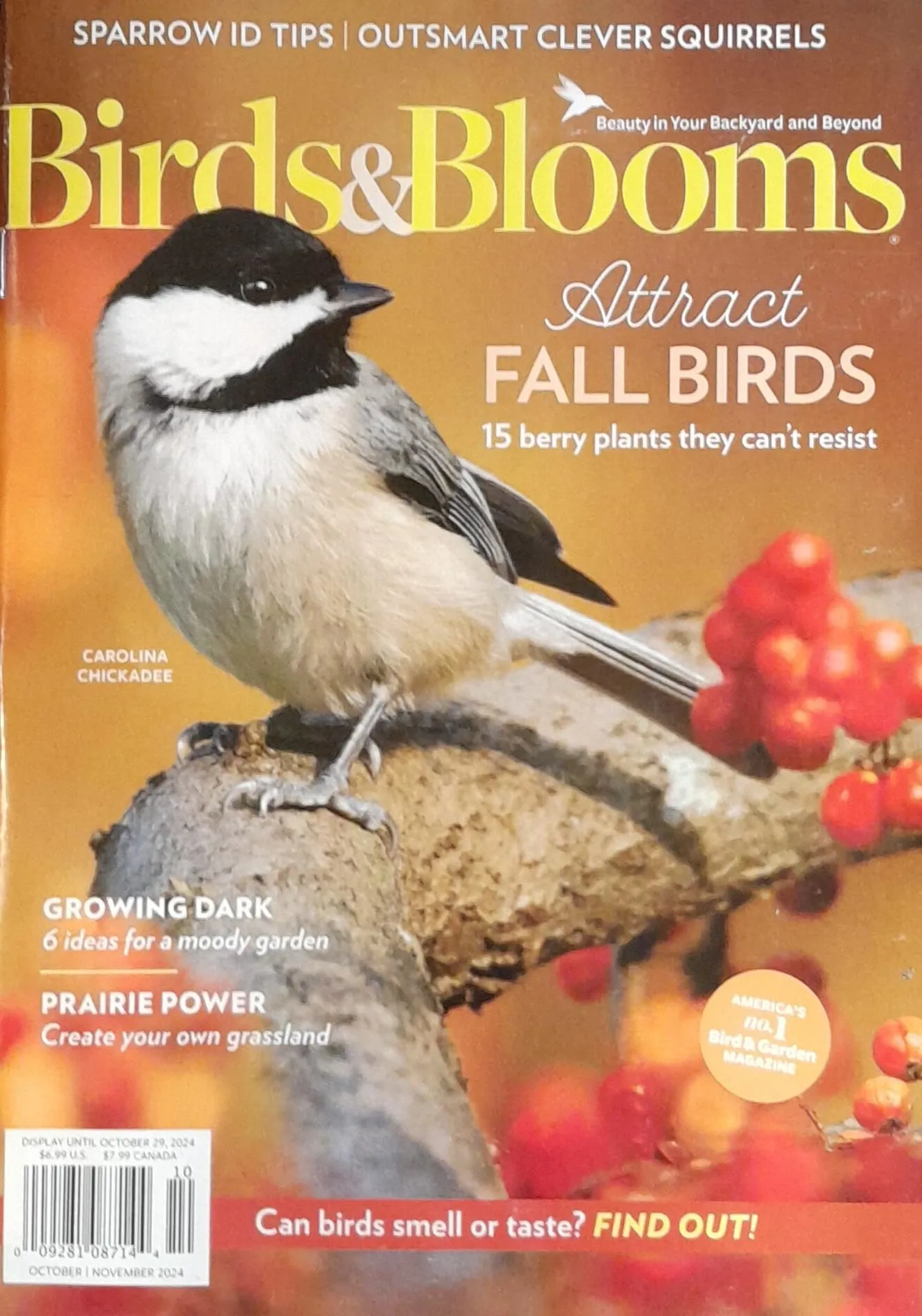 Birds & Blooms Magazine