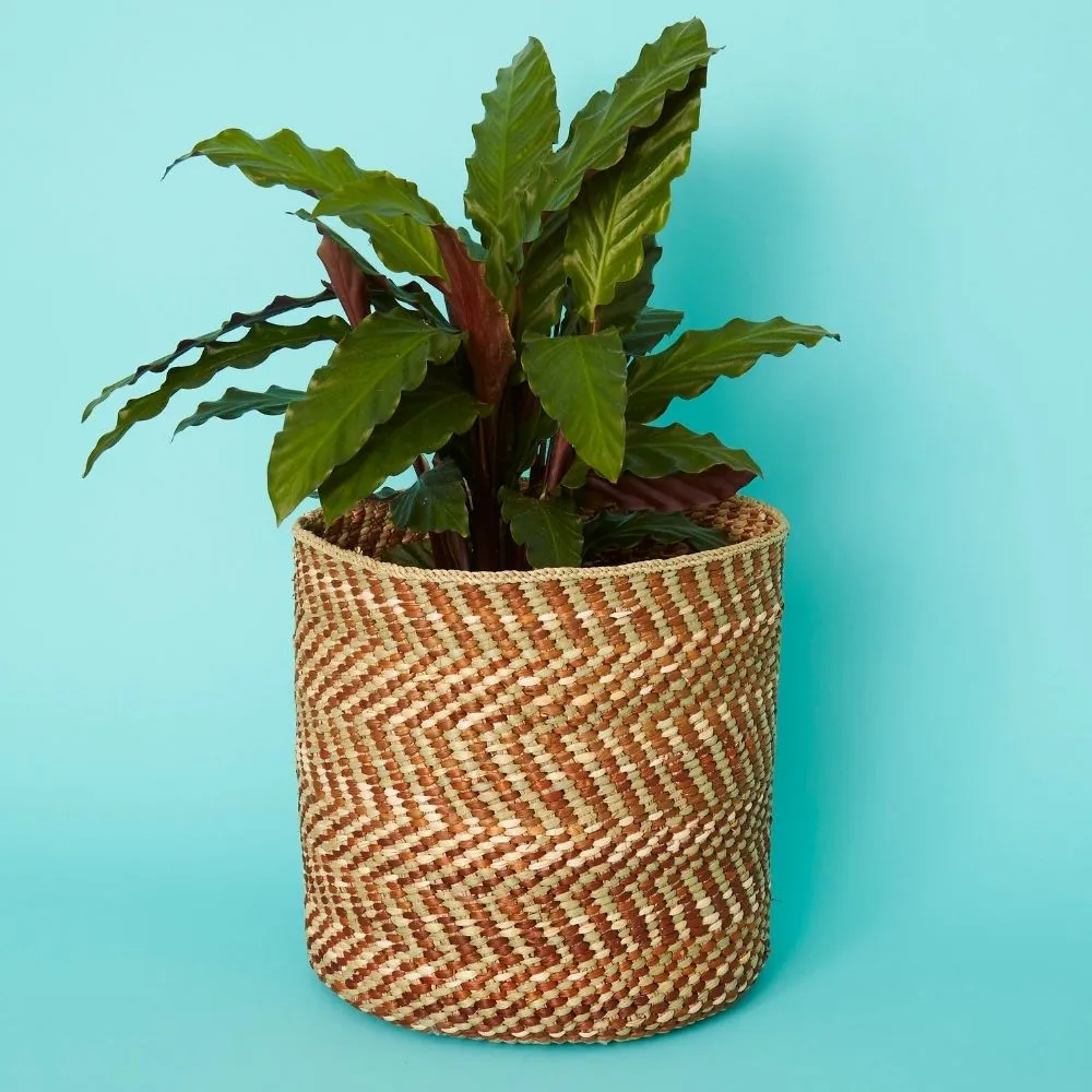 Brown Iringa Indoor Planter Toy Storage Woven Basket Set