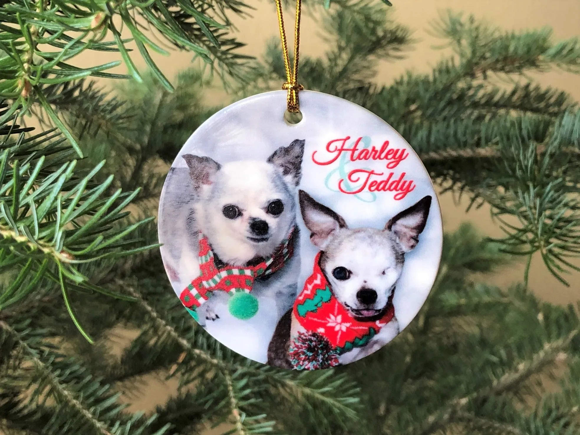 Ceramic 'Harley & Teddy' Round Ornament