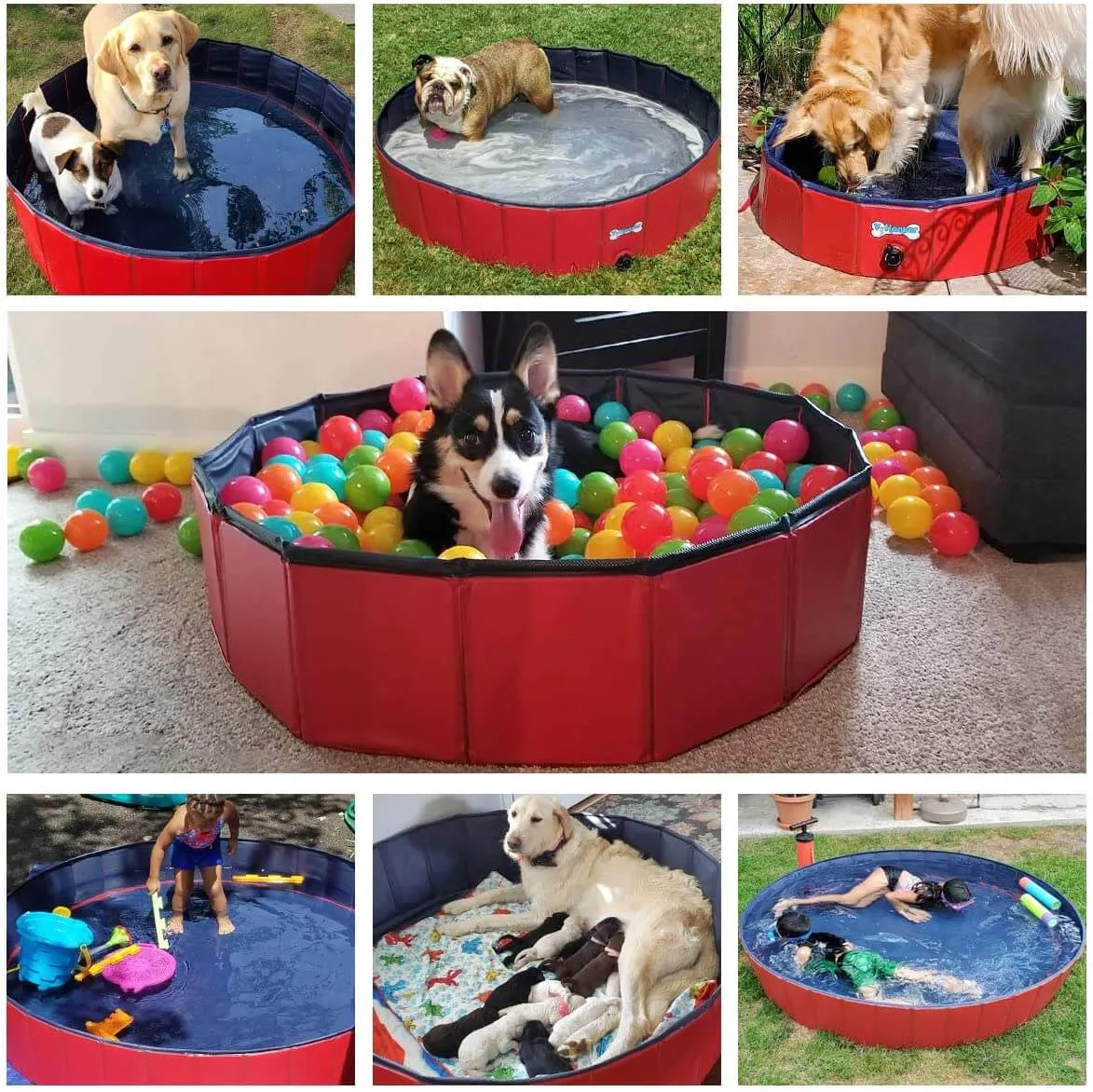 Dog Pet Swimming Pool