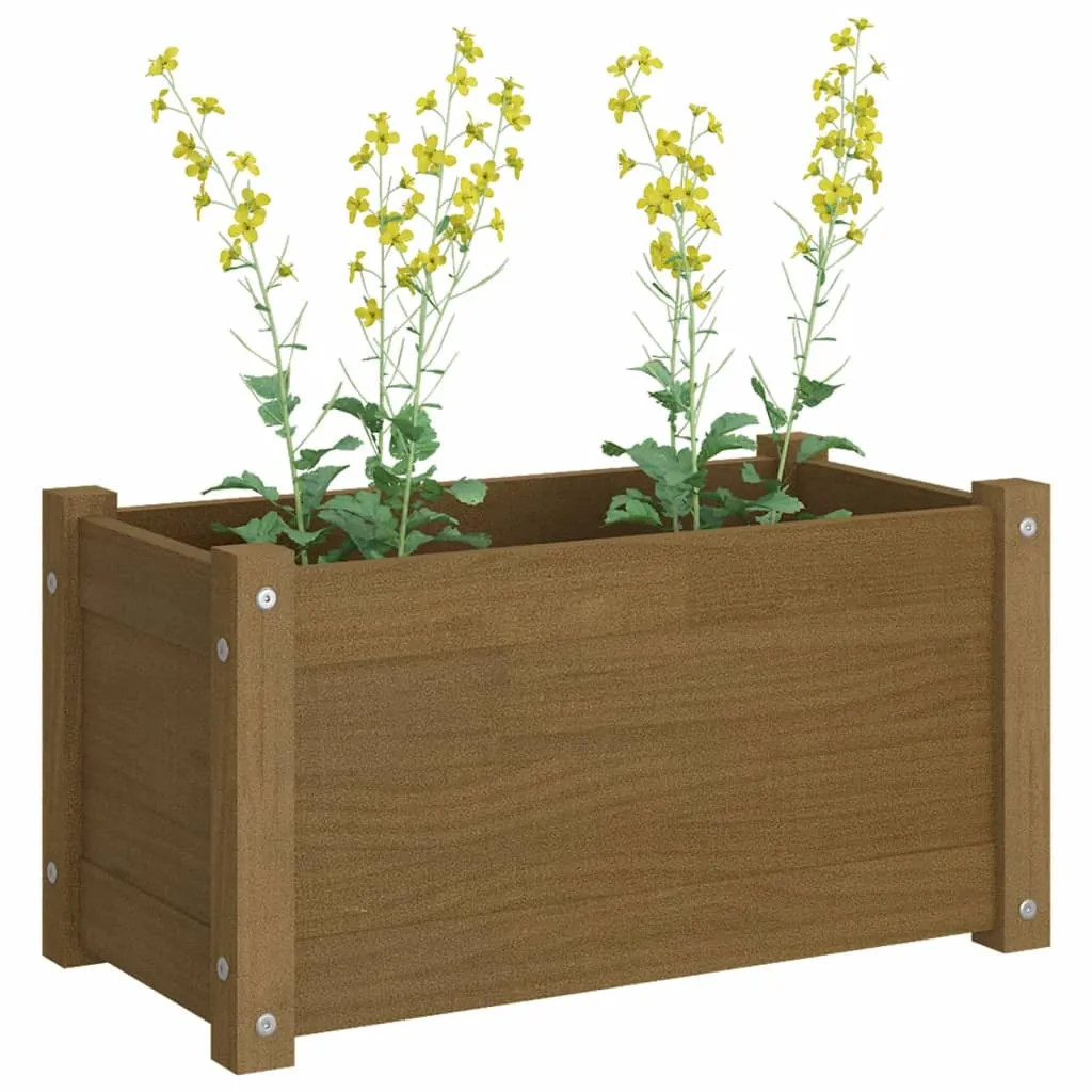 Garden Planter Honey Brown 60x31x31 cm Solid Pinewood