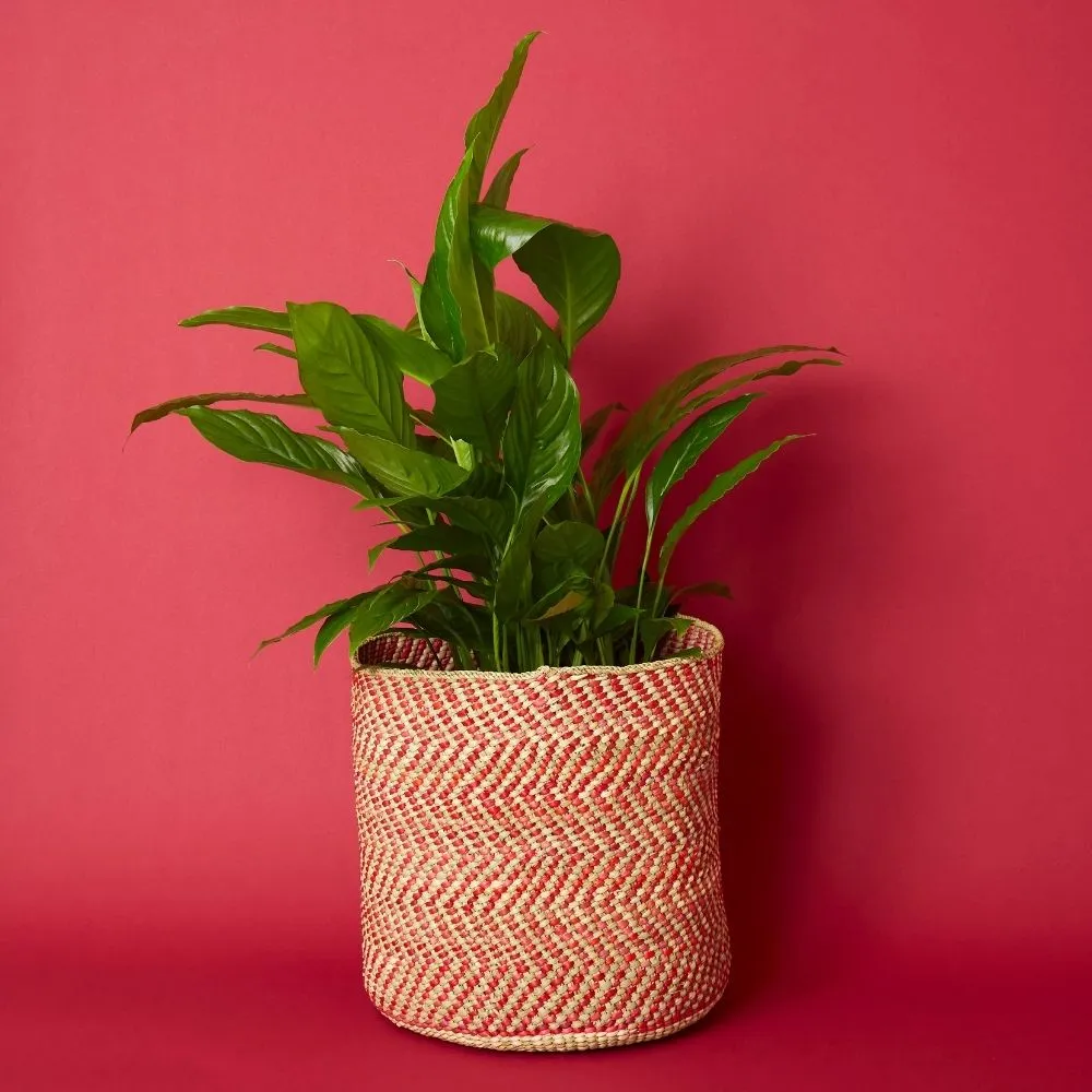 Medium Red Iringa Indoor Planter Toy Storage Woven Basket