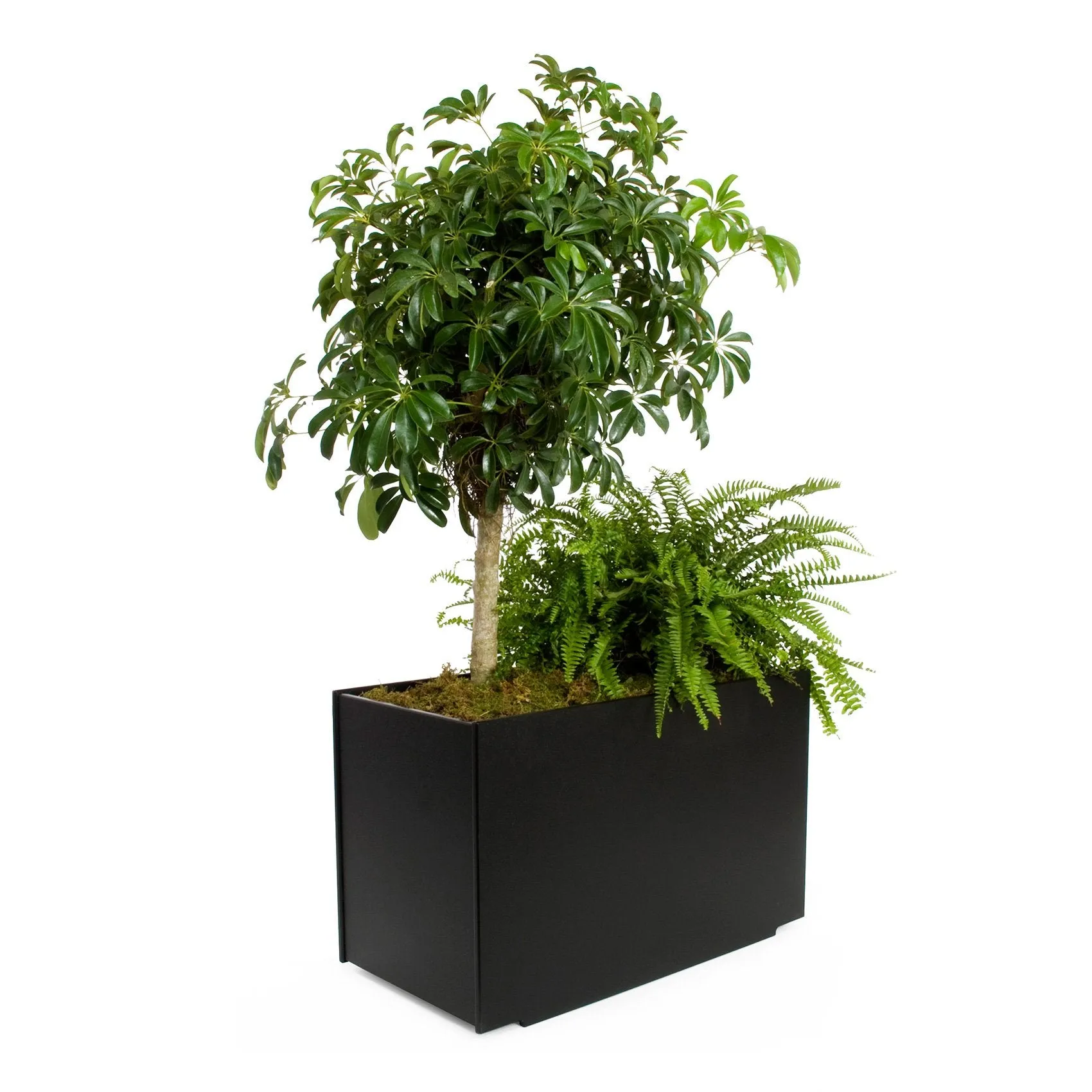 Mondo Double Planter (28 Gallon)